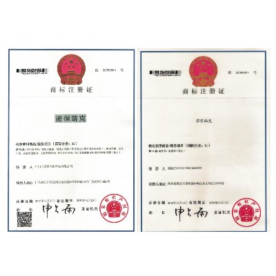 诺保瑞克商标注册证